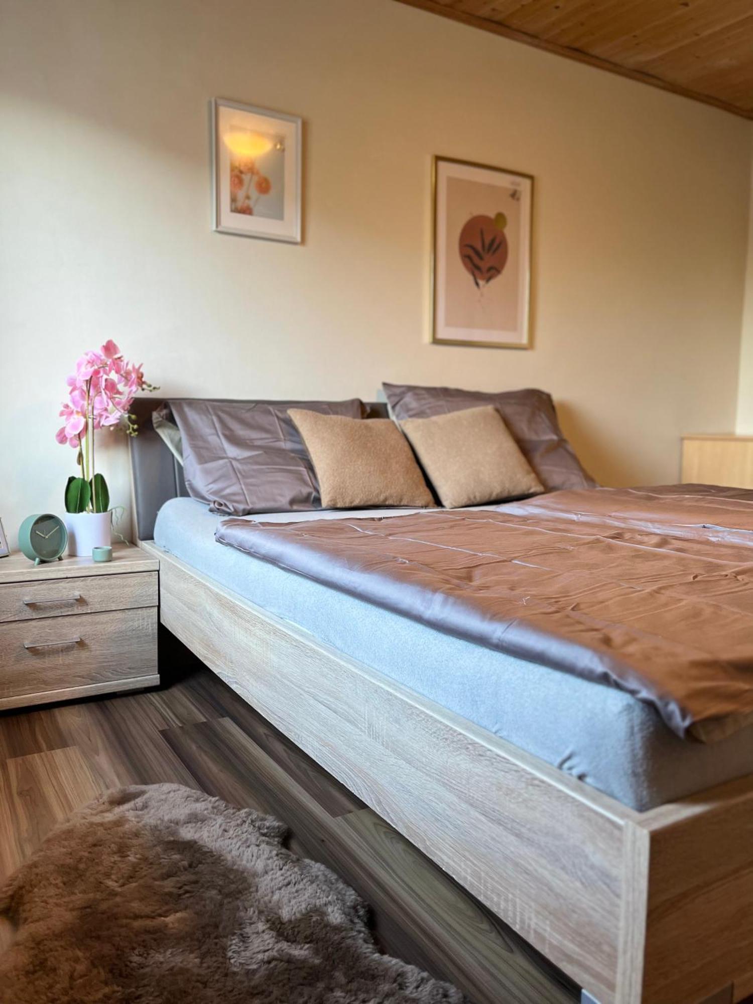 Gemuetliche Wohnung/ Cozy Apartment Niklasdorf ภายนอก รูปภาพ