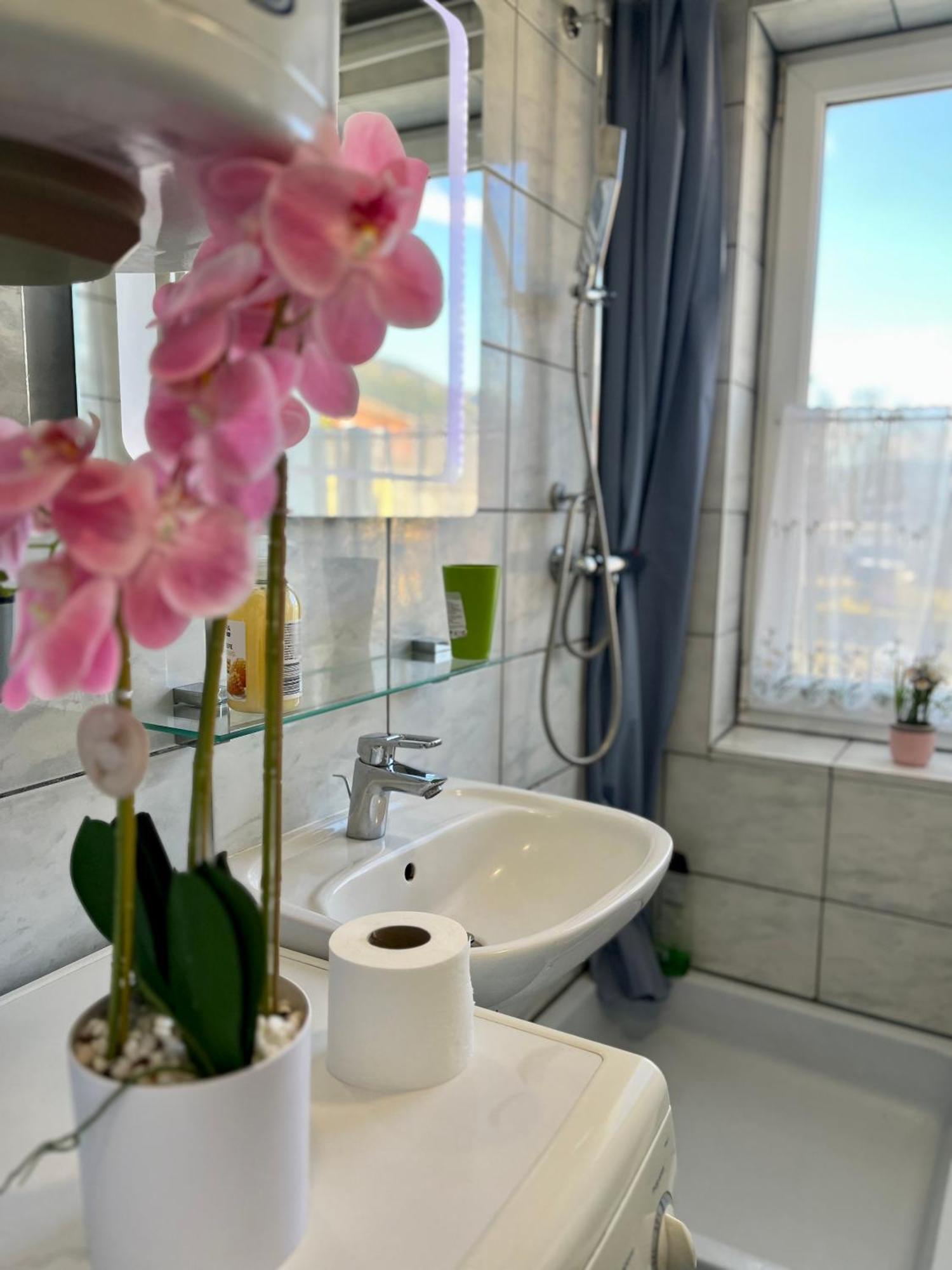 Gemuetliche Wohnung/ Cozy Apartment Niklasdorf ภายนอก รูปภาพ